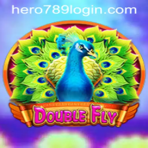 Master the Skies with DoubleFly: An In-Depth Look